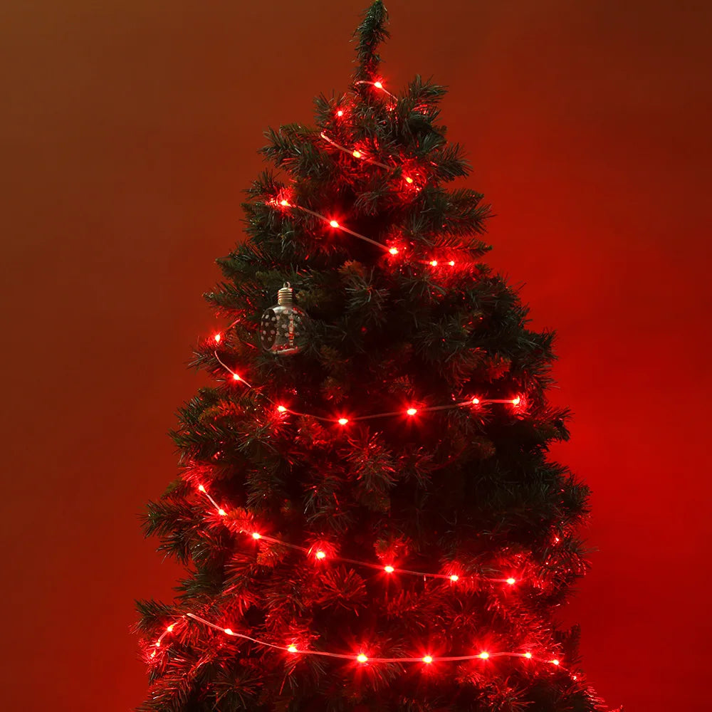 CowLost | product_id-dreamcolor-rgbic-usb-bluetooth-app-diy-led-fairy-string-lights-for-christmas-wedding-party |19