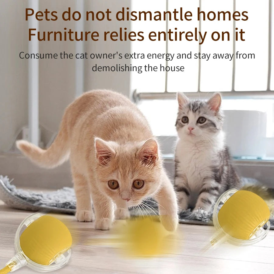 CowLost | product_id-rechargeable-automatic-rolling-ball-interactive-toy-for-cats-and-dogs |8