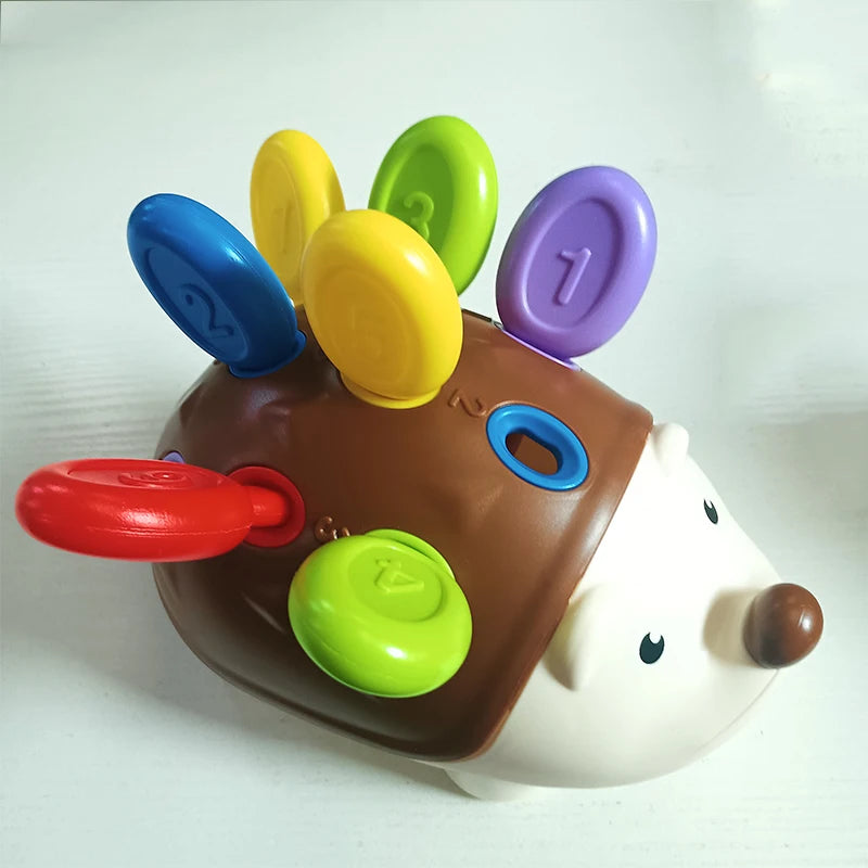 Montessori Baby Hedgehog Sensory Fine Motor Educational Toy for Kids