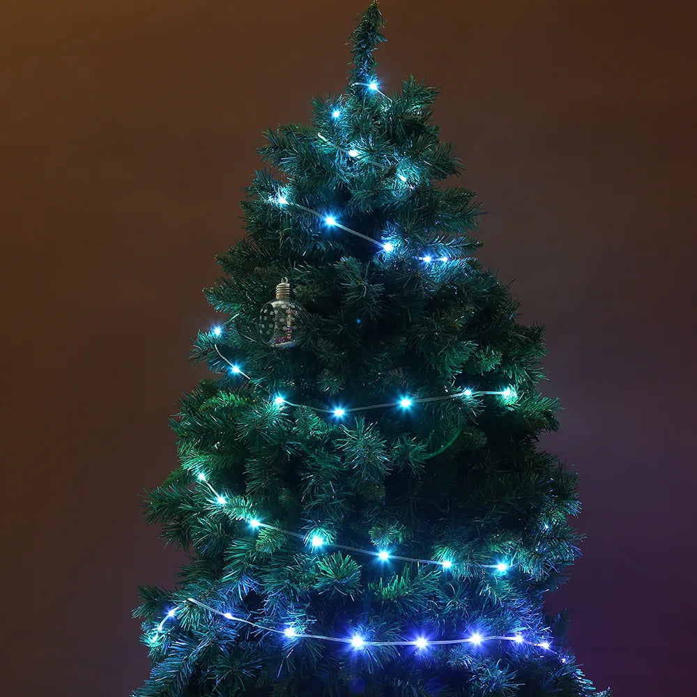 CowLost | product_id-dreamcolor-rgbic-usb-bluetooth-app-diy-led-fairy-string-lights-for-christmas-wedding-party |18