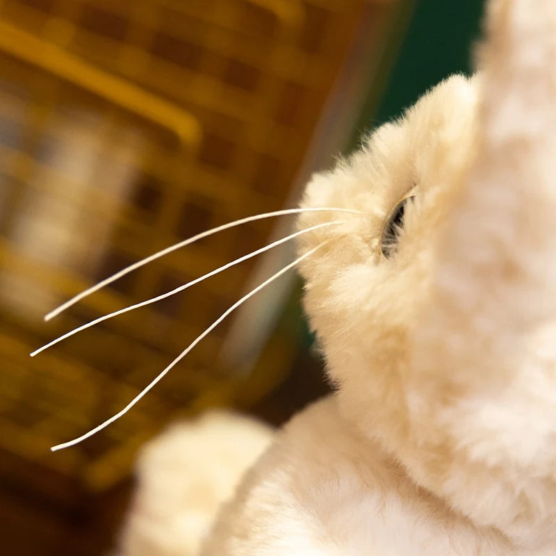 CowLost | fencing-barriers-devon-rex-plush-toy-german-curly-cat-soft-stuffed-doll |7