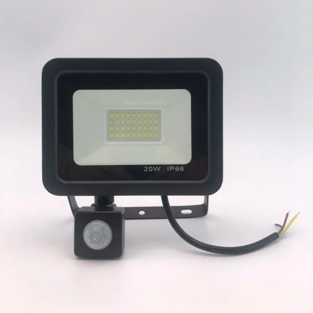 10W 20W 30W 50W 100W Induction Led flood light With Adjustable PIR Sensor