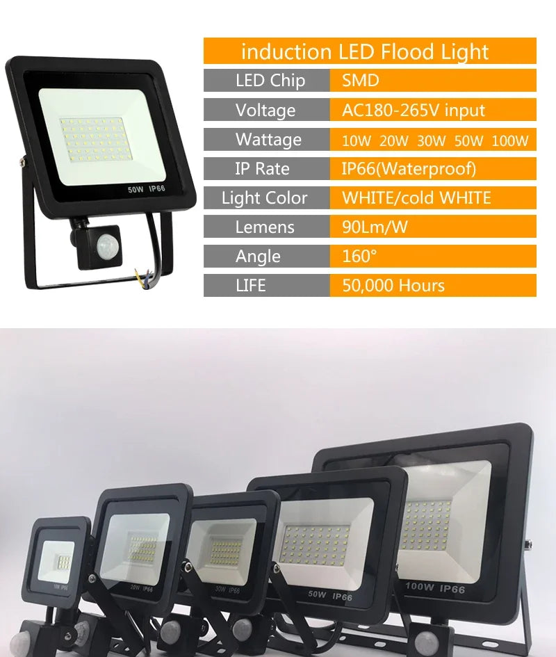 CowLost | 10w-20w-30w-50w-100w-induction-led-flood-light-with-adjustable-pir-sensor |8
