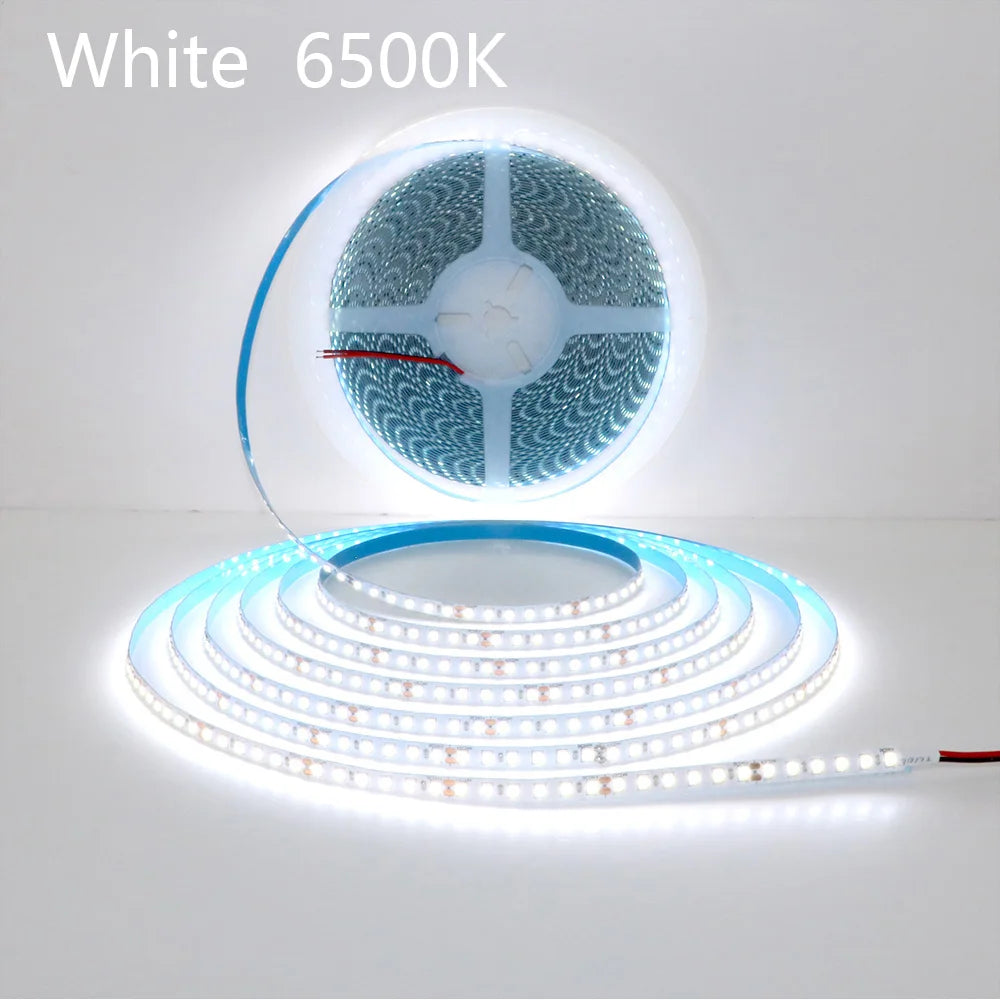 CowLost | single-strip-5m-10m-15m-20m-long-led-strip-dc24v-120leds-m |14
