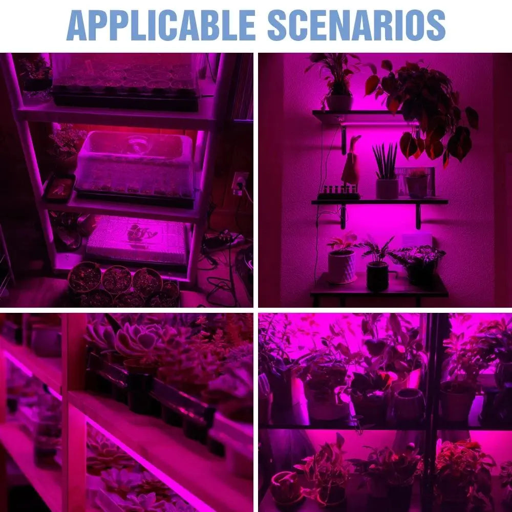 CowLost | led-grow-lights-product_id-full-spectrum-usb-5v-led-grow-light-for-seedlings-and-indoor-plants |9