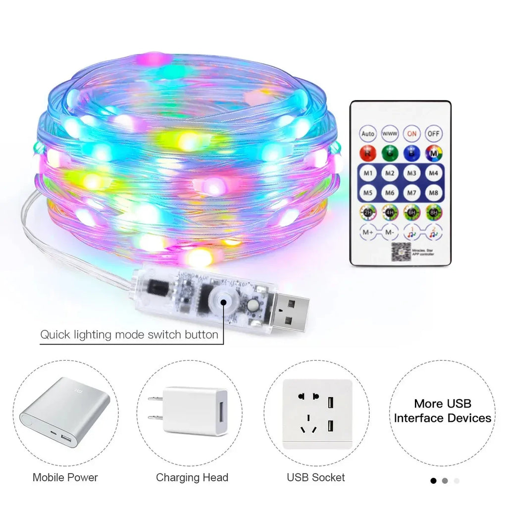 CowLost | product_id-dreamcolor-rgbic-usb-bluetooth-app-diy-led-fairy-string-lights-for-christmas-wedding-party |4