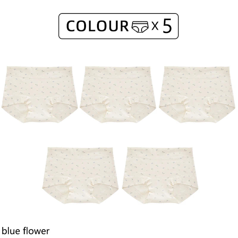 CowLost | product_id-fallsweet-5pcs-plus-size-womens-cotton-seamless-plaid-briefs-high-elastic-underwear |16