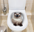 CowLost | vivid-3d-hole-cat-toilet-sticker-home-decoration |11