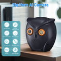 CowLost | product_id-vesafe-icsee-5mp-hd-indoor-wifi-security-camera-owl-shape-with-night-vision-and-human-detection |1