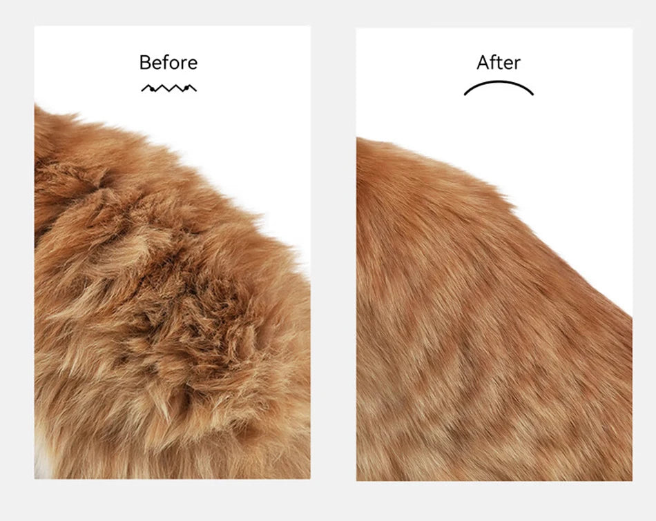 CowLost | tools-rojeco-automatic-spray-hair-comb-for-pets |11