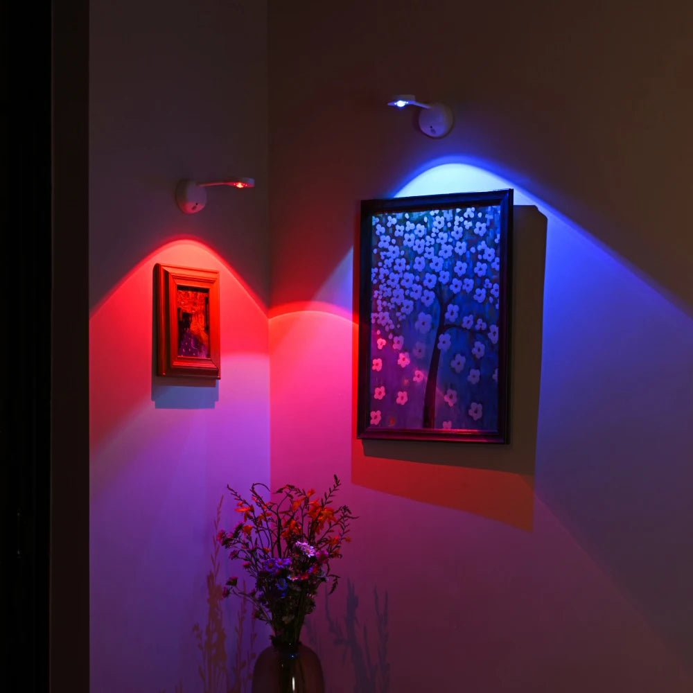CowLost | product_id-usb-rechargeable-wireless-human-sensing-dimmable-rgb-led-wall-spotlight-for-paintings |5