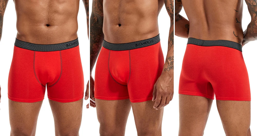 CowLost | activewear-pants-4pcs-mens-cotton-boxer-underpants |18