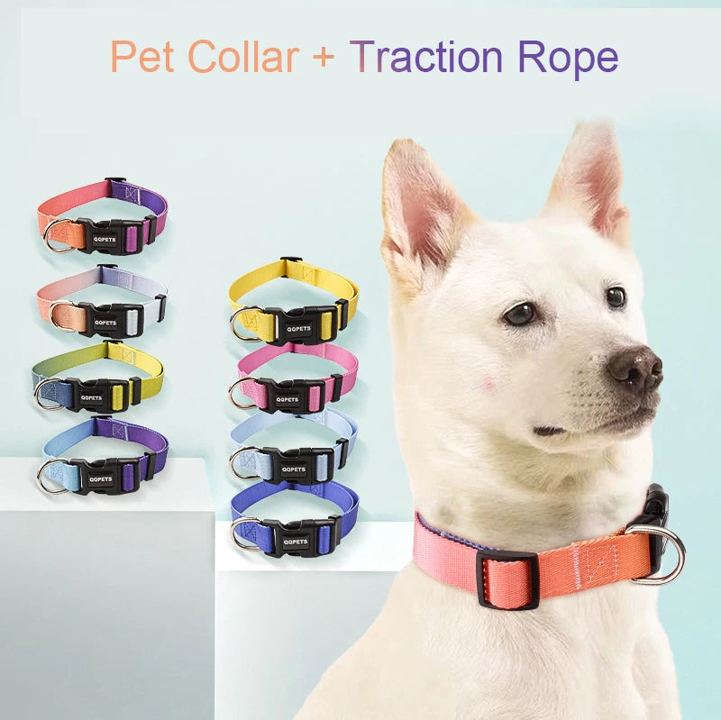 CowLost | dog-diapers-adjustable-nylon-dog-collar-and-leash-set |7
