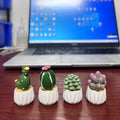 CowLost | product_id-resin-mini-cactus-succulent-car-and-desktop-ornament-gift-toy |19