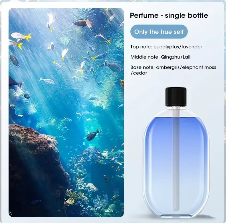 CowLost | product_id-automatic-usb-essential-oil-diffuser-nebulizer-for-home-fragrance-and-deodorization |24