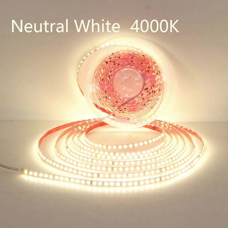 110V 220V LED Strip 2835 120LEDs/m Home Lamp Strip