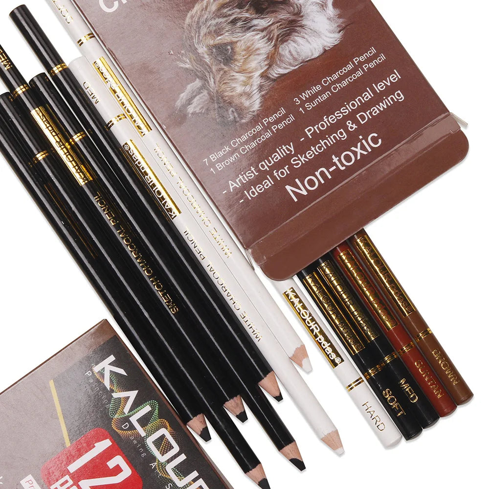 CowLost | charcoal-pencils-product_id-kalour-6-12-carbon-and-white-charcoal-highlight-pencils-for-art-drawing |16