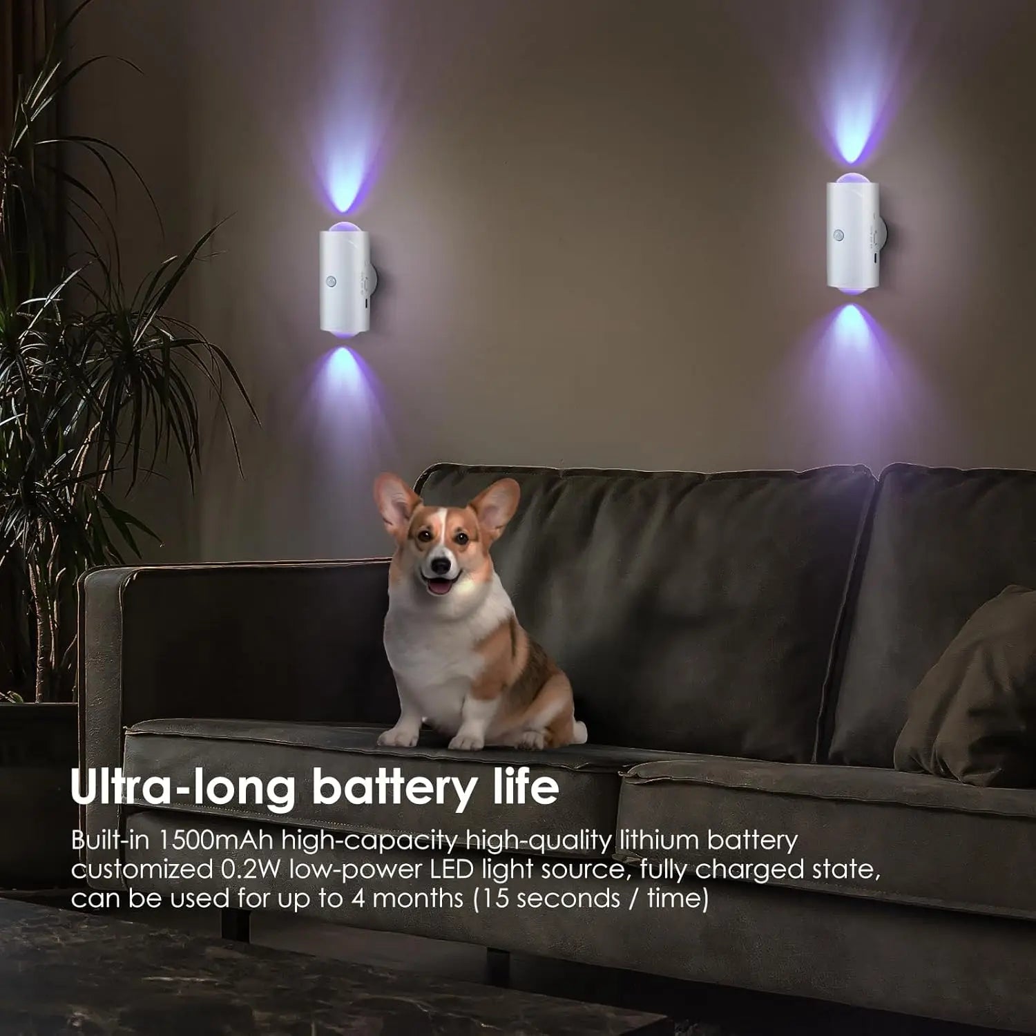 4PCS/2PCS USB Rechargeable Motion Sensor LED Night Light with 8 Effects and 3 Modes, Magnetic Dual-Sided Lamp for Stairway and Bedroom