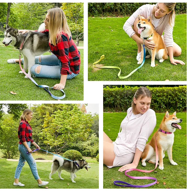 CowLost | dog-diapers-adjustable-nylon-dog-collar-and-leash-set |2