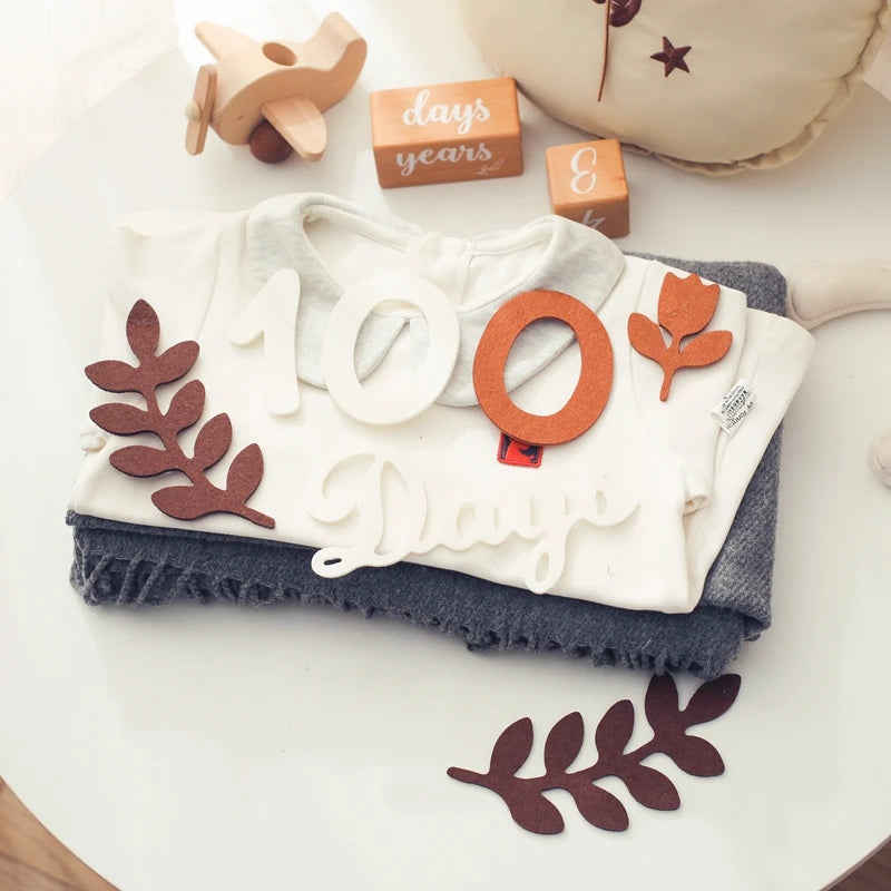 CowLost | baby-transport-accessories-felt-newborn-photography-milestone-props-0-12-months |12