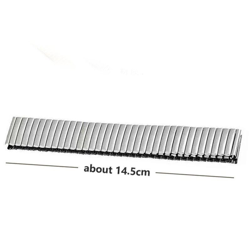 CowLost | product_id-universal-adjustable-stainless-steel-silver-gold-elastic-watchband-for-rolex |8