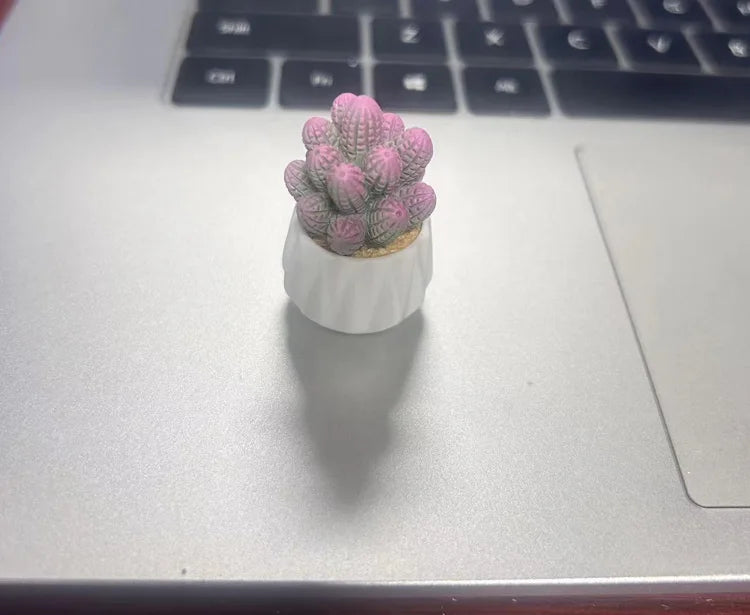 CowLost | product_id-resin-mini-cactus-succulent-car-and-desktop-ornament-gift-toy |14