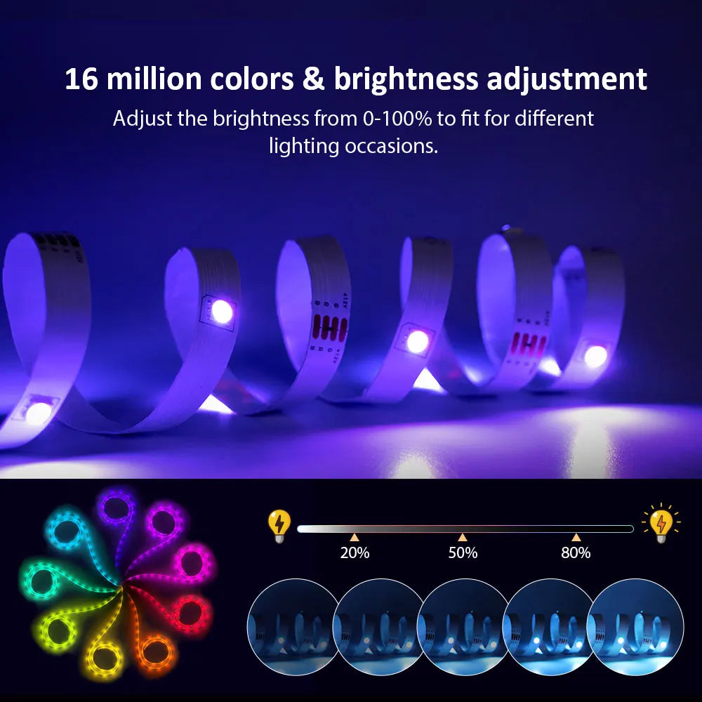 RGB 5050 LED Strip Light 12V 30 LEDs/M Music Sync APP Remote Control Flexible Tape