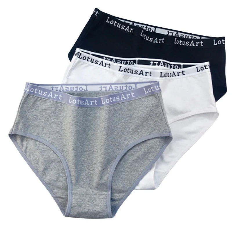 CowLost | product_id-2pcs-women-high-waist-cotton-briefs-tummy-control-breathable-m-2xl |1
