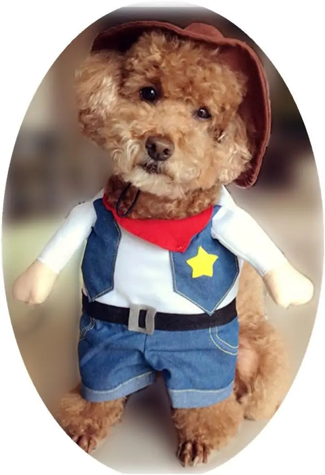 CowLost | activewear-pants-funny-pet-dog-and-cat-cowboy-costume |13
