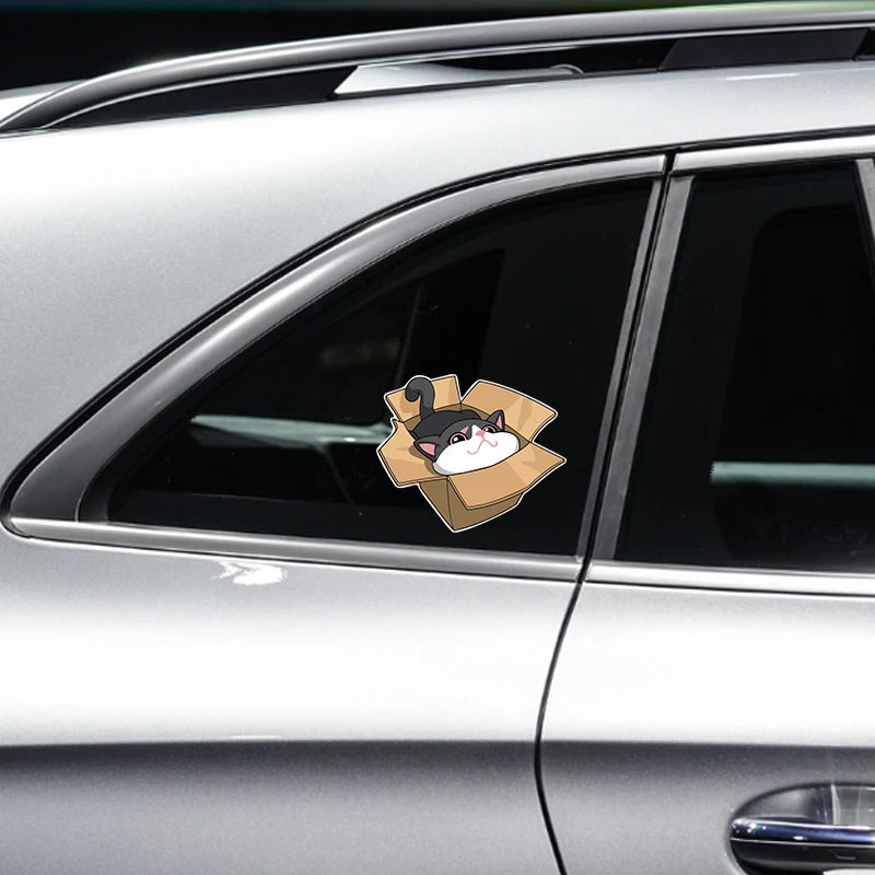 CowLost | box-cat-waterproof-sticker-cute-anime |2