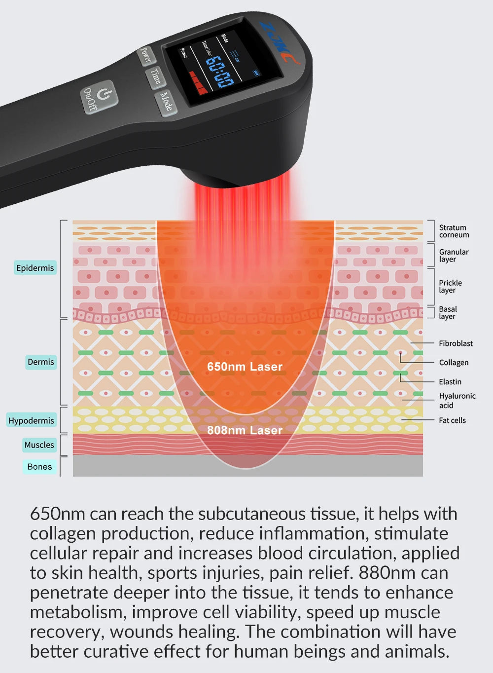 CowLost | low-level-laser-therapy-machine-650nm-808nm-cold-laser-treatement-for-joint-pain-sciatica |13