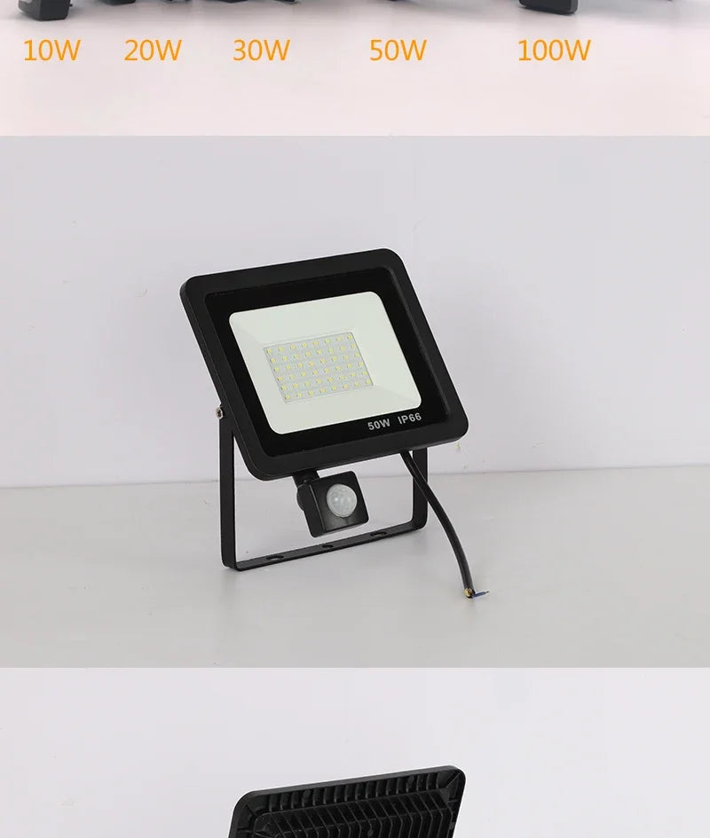 CowLost | 10w-20w-30w-50w-100w-induction-led-flood-light-with-adjustable-pir-sensor |9