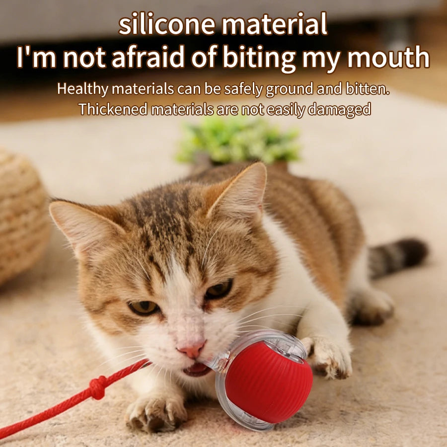 CowLost | product_id-rechargeable-automatic-rolling-ball-interactive-toy-for-cats-and-dogs |2