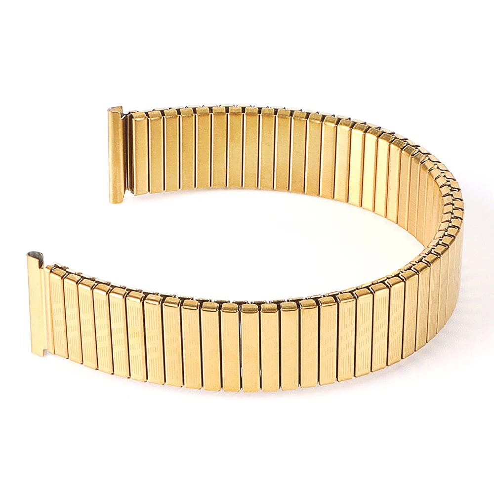 CowLost | product_id-stainless-steel-elastic-spring-telescopic-watchband-for-rolex-and-seiko-unisex |12
