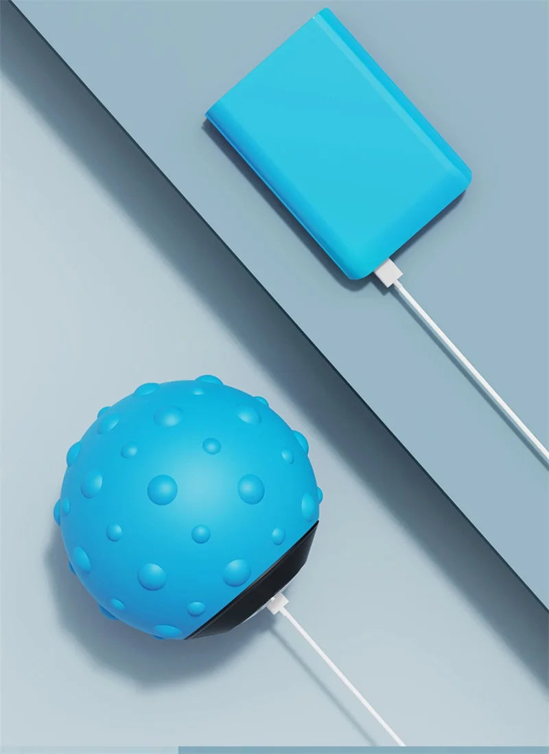 CowLost | fencing-barriers-5-speed-high-intensity-vibrating-massage-ball-for-muscle-and-plantar-fasciitis-pain-relief |24