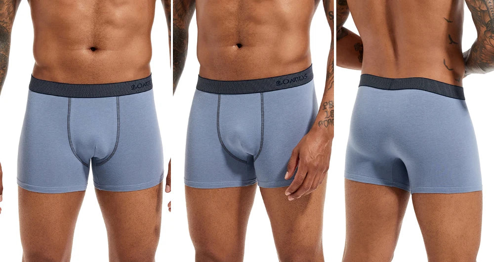 CowLost | activewear-pants-4pcs-mens-cotton-boxer-underpants |12