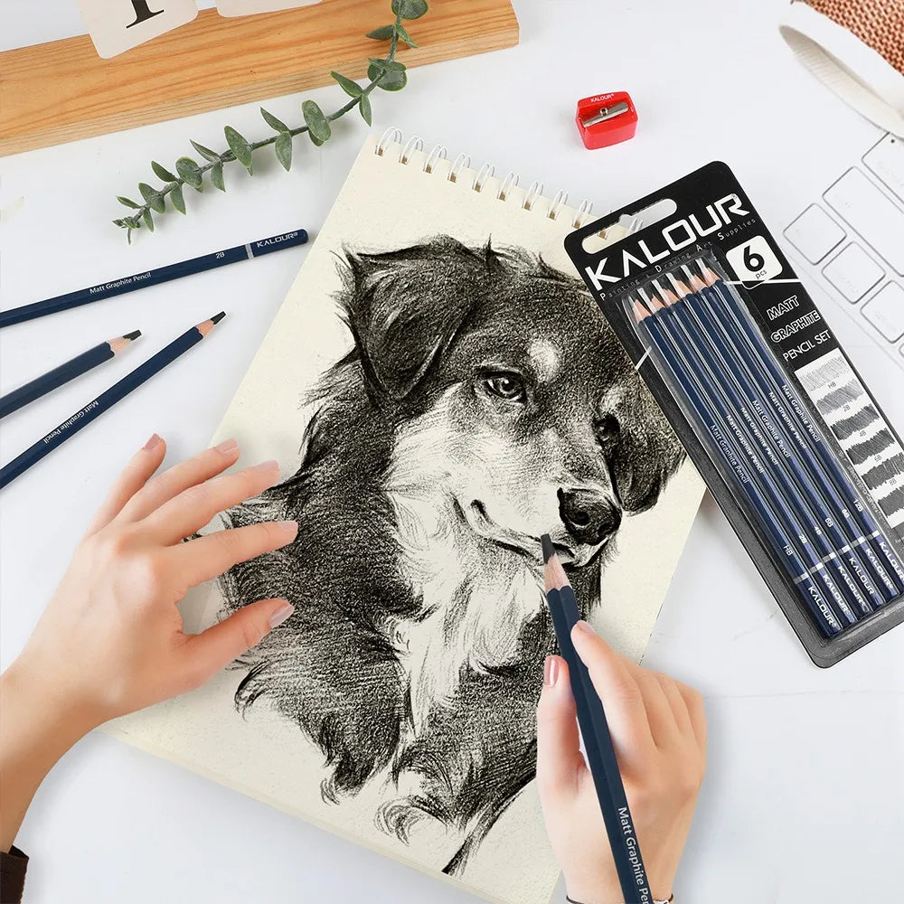 CowLost | product_id-6pcs-kalour-charcoal-willow-core-pencil-set-non-toxic-professional-art-supplies-for-drawing-painting-sketching |14