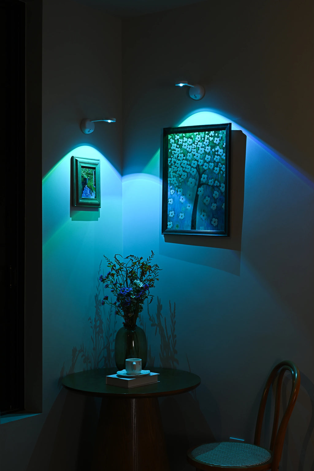 CowLost | product_id-usb-rechargeable-wireless-human-sensing-dimmable-rgb-led-wall-spotlight-for-paintings |21