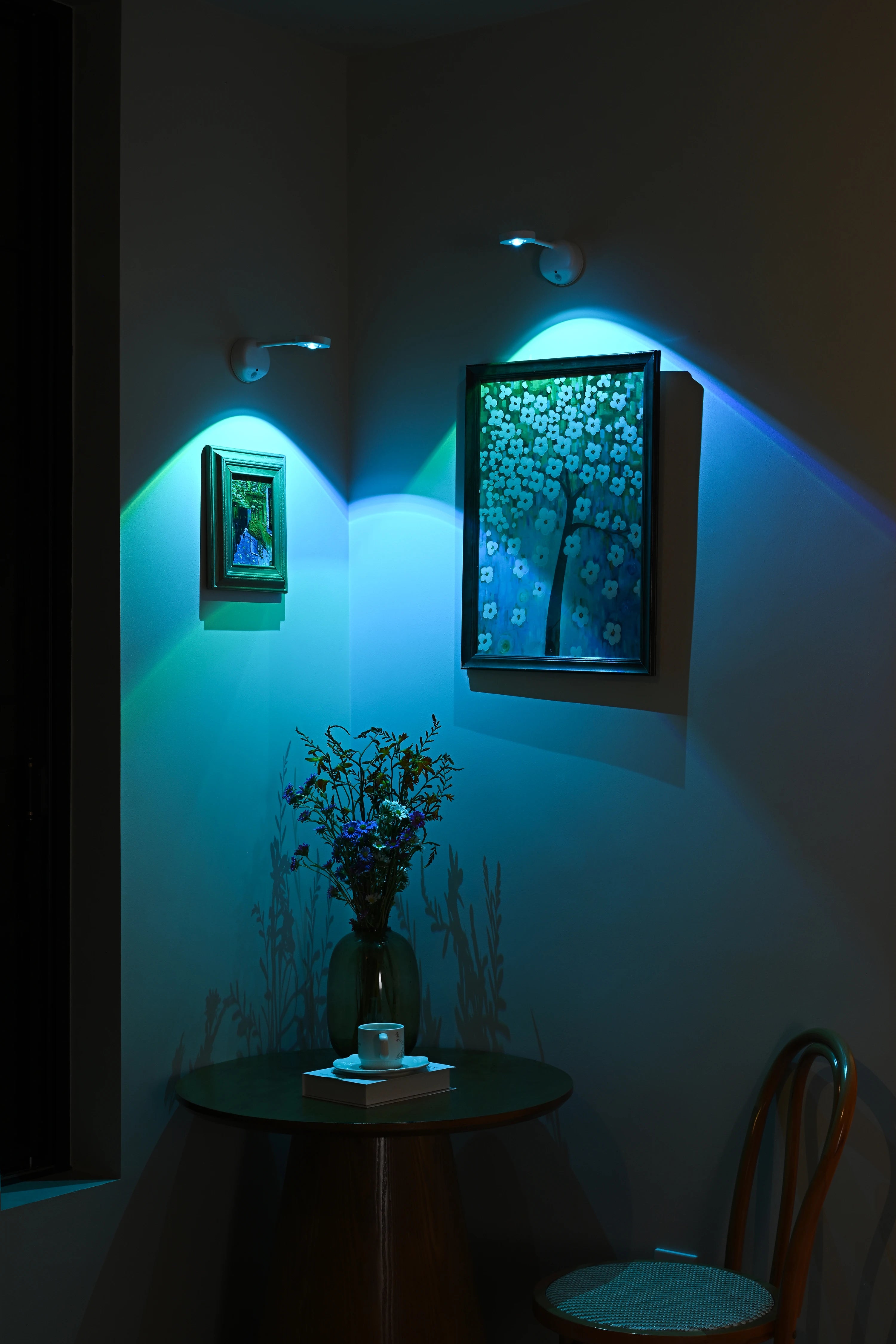 CowLost | product_id-usb-rechargeable-wireless-dimmable-rgb-led-wall-spotlight-with-human-sensor-for-paintings |22