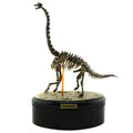 Dinosaur Excavation 3D Puzzle Toy Skeleton Fossil Model Chiosaurus