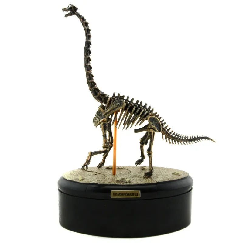Dinosaur Excavation 3D Puzzle Toy Skeleton Fossil Model Chiosaurus