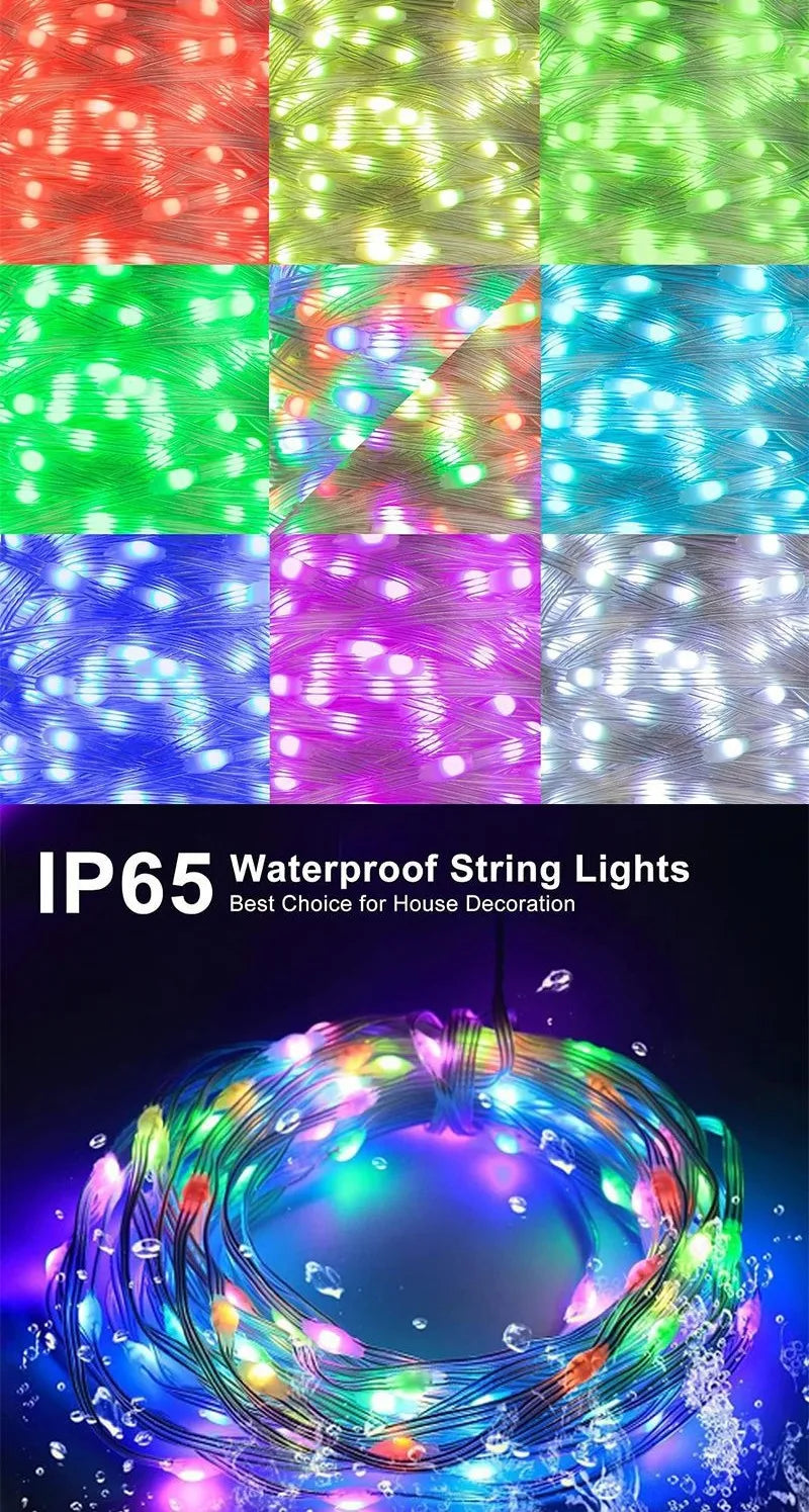 CowLost | product_id-dreamcolor-rgbic-usb-bluetooth-app-diy-led-fairy-string-lights-for-christmas-wedding-party |14