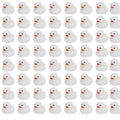 CowLost | product_id-10-200-white-squeaky-rubber-ducks-for-party-favors-prizes-and-car-decor |1