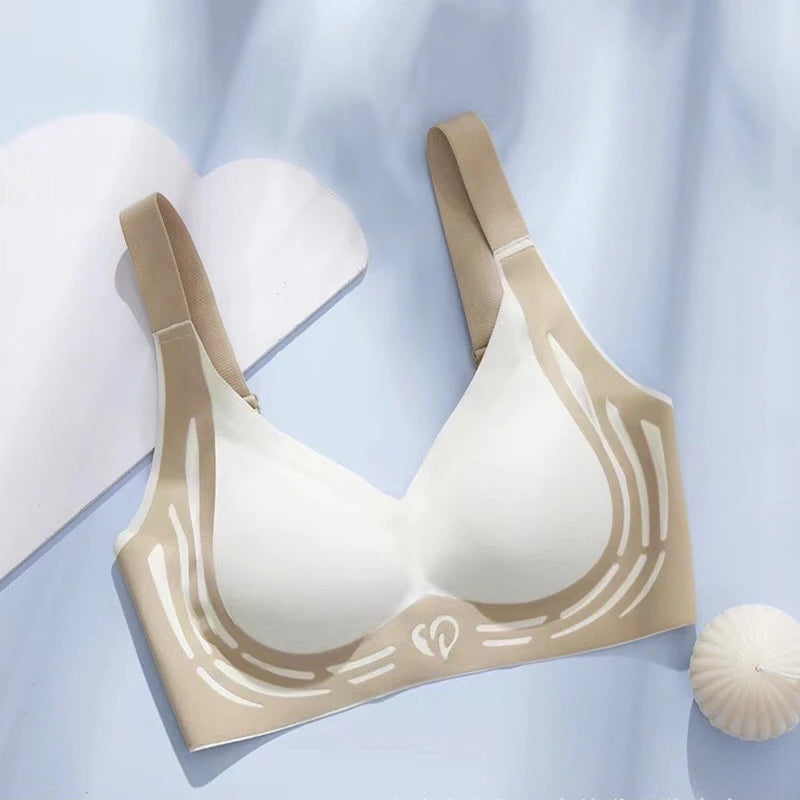 CowLost | product_id-seamless-contrast-push-up-fixed-cup-bra-with-comfortable-back-for-women |8