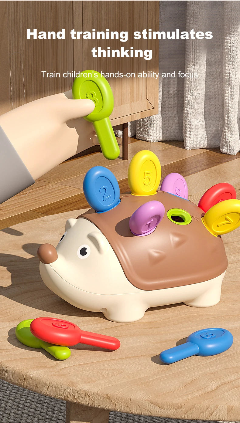 Montessori Baby Hedgehog Sensory Fine Motor Educational Toy for Kids