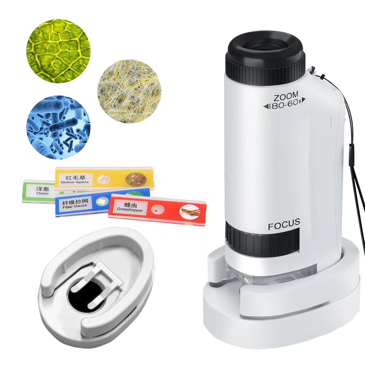 CowLost | product_id-mini-handheld-microscope-toy-kit-with-led-lights-and-2-ag13-batteries-science-gift-for-kids |2