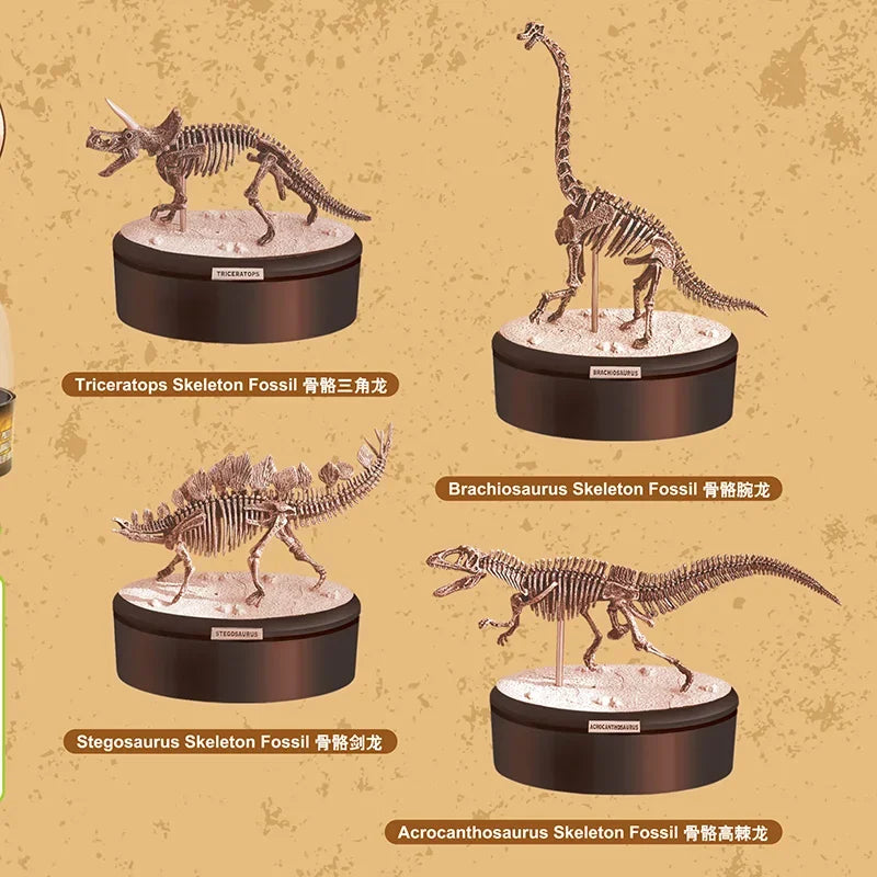Dinosaur Excavation 3D Puzzle Toy Skeleton Fossil Model Chiosaurus