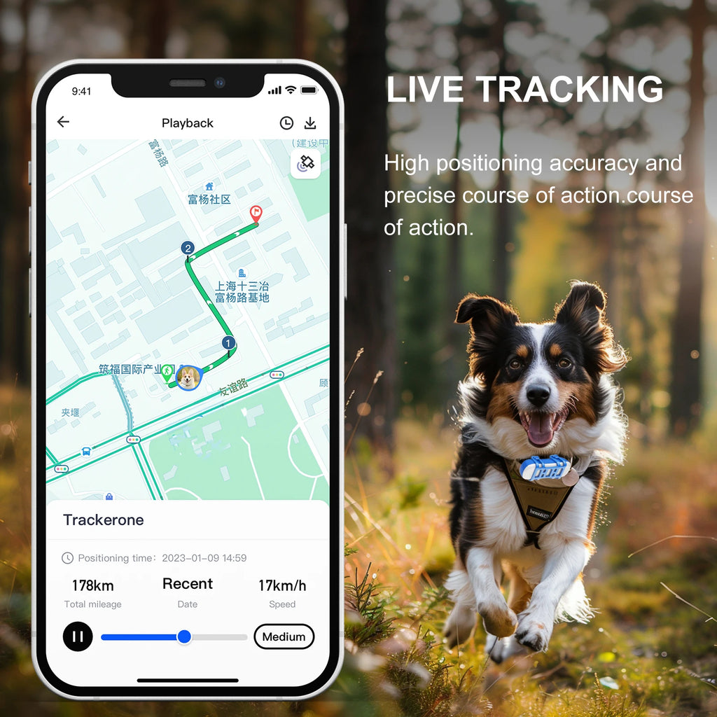 CowLost | pet-supplies-4g-gps-pet-locator-with-fence-alarm-for-safety |5