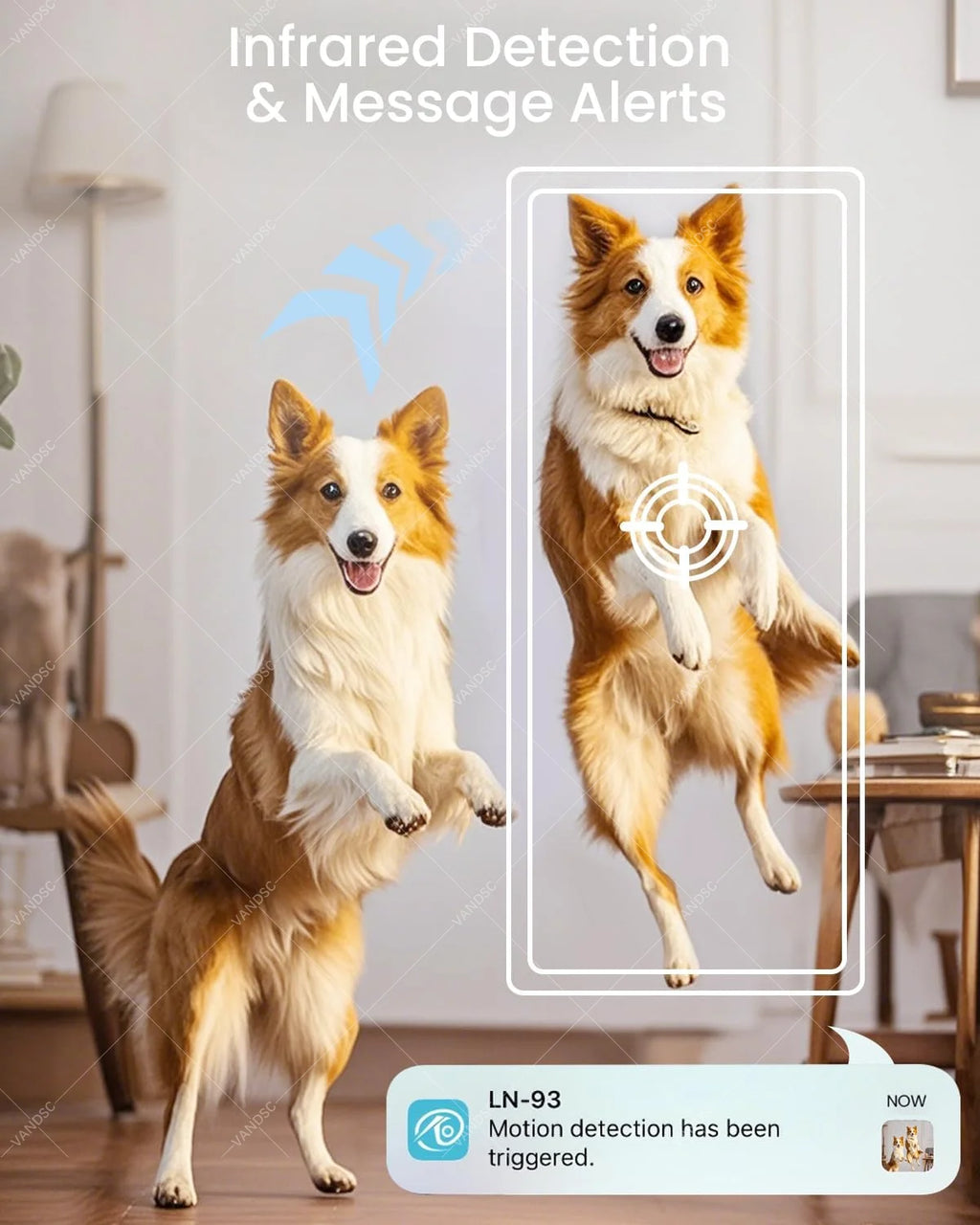 CowLost | product_id-vesafe-mini-4k-wifi-security-camera-with-180-rotating-lens-cloud-sd-storage-motion-detection-no-wifi-recording |5