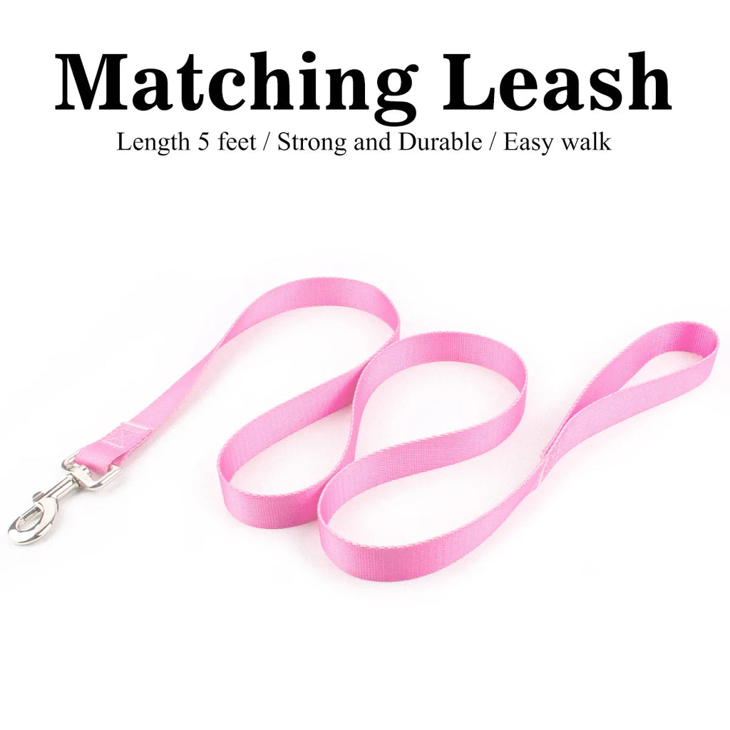 CowLost | dog-diapers-adjustable-nylon-dog-collar-and-leash-set |24
